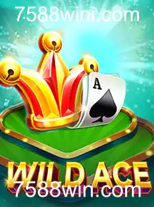 WildAce: Mergulhe na Excitante Aventura do Novo Jogo